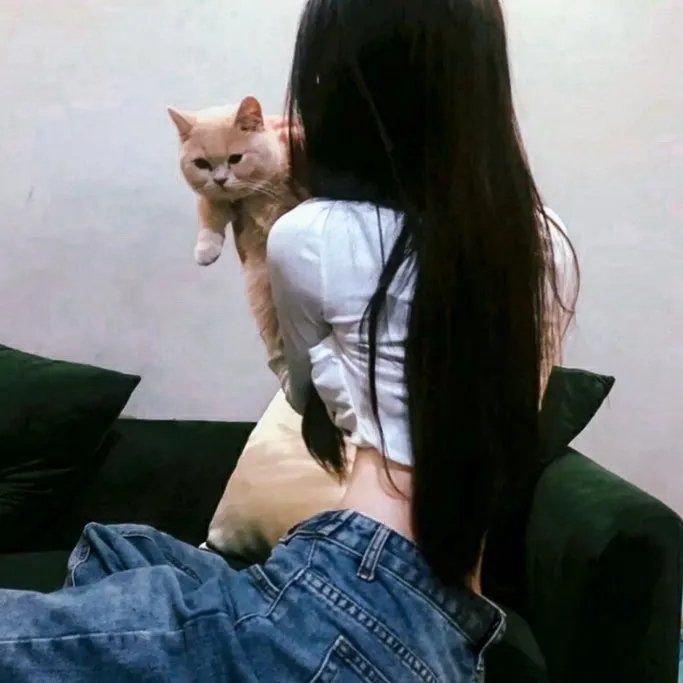 法女情波